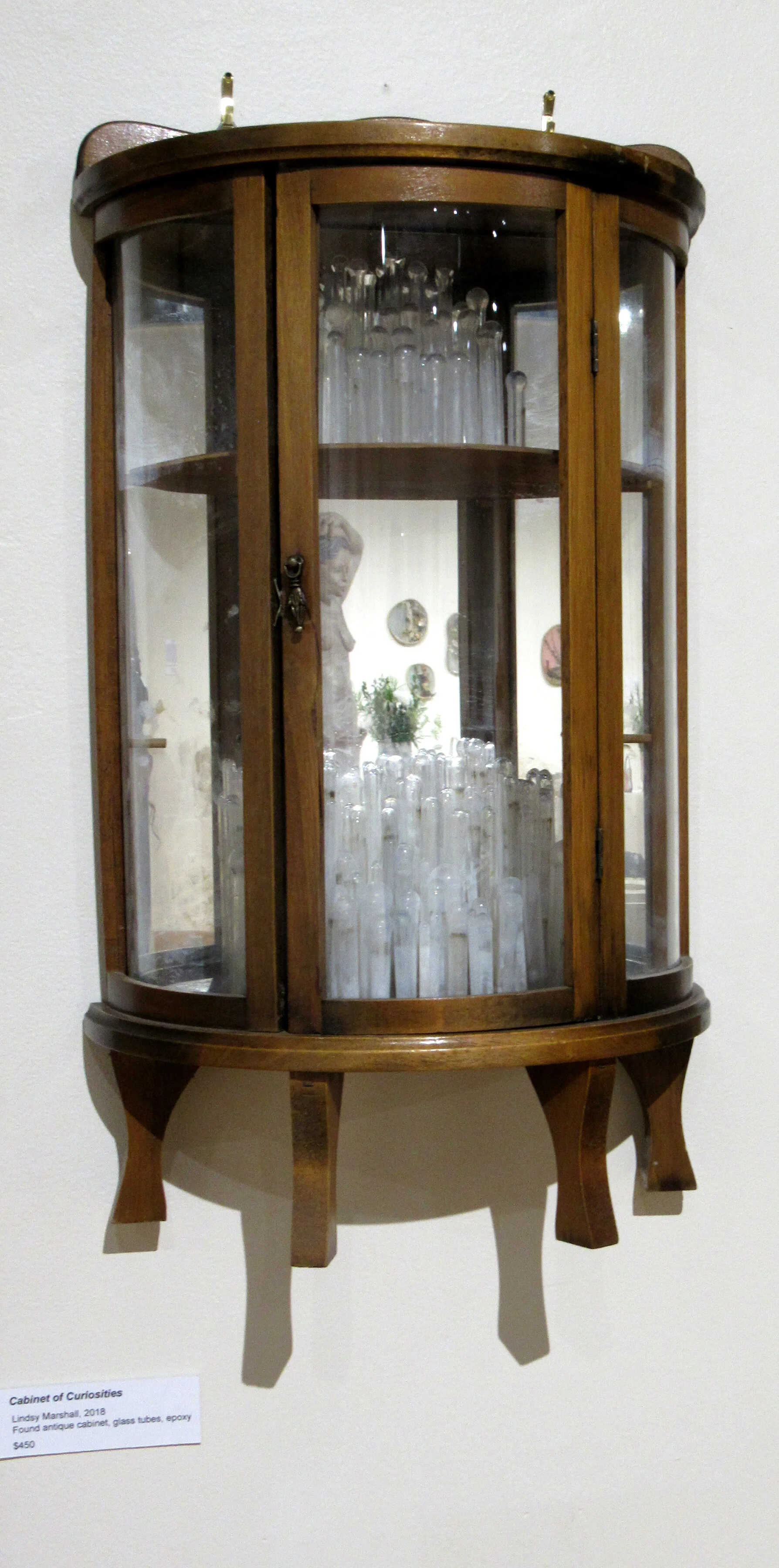 Cabinet of Curiosities — Lindsy Marshall